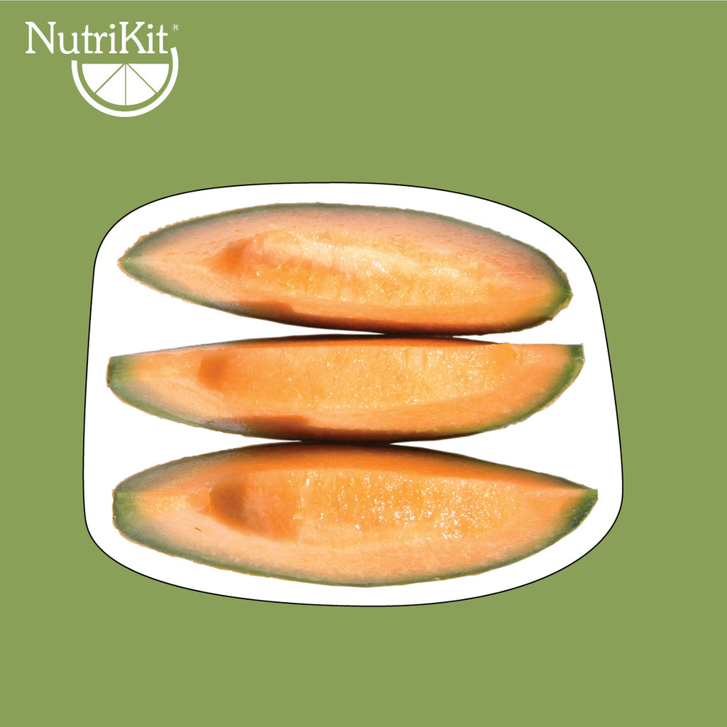 NutriKit® réplicas de alimentos, apoyo nutrimental.